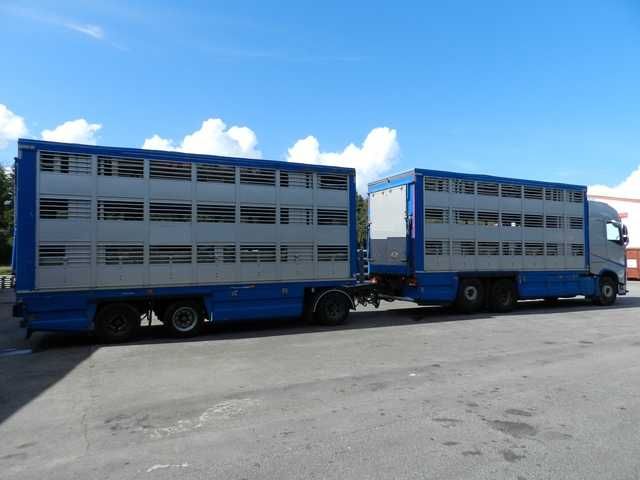 Do zwierzat VOLVO FH 540 01/2020 zab i przy GUITTON 2/3 poz