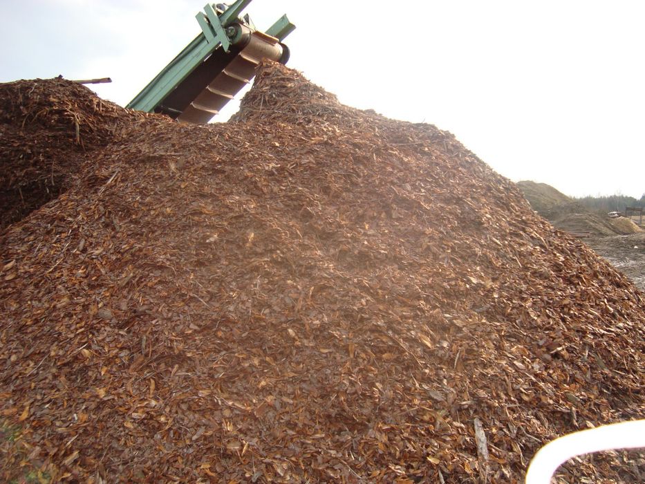 KOROWARKA DO DREWNA cambio tipo FERRI MECANIKA do tartak kora