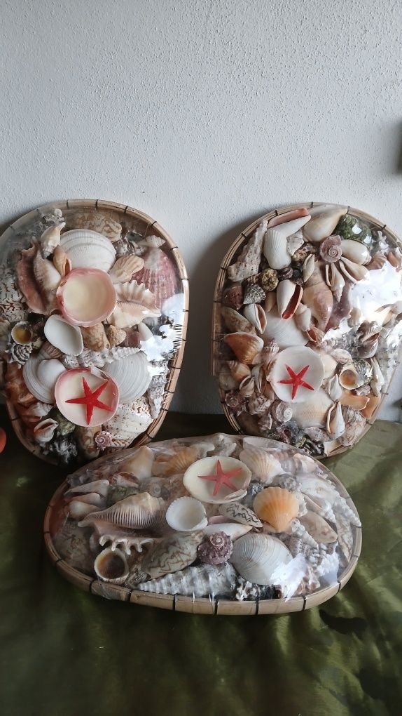 Cestas Com Conchas e Búzios