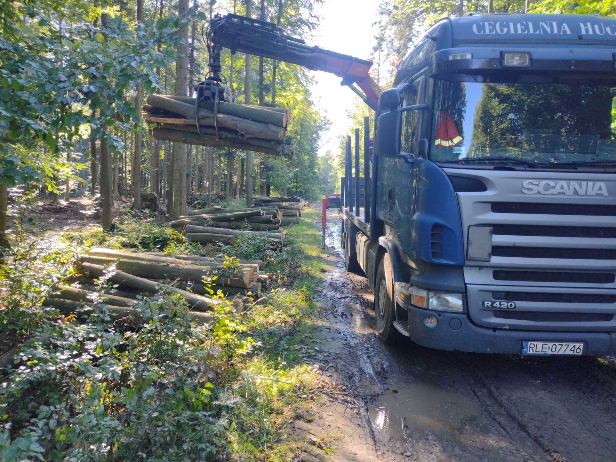 Drewno Opałowe Kominkowe Grab Buk Brzoza