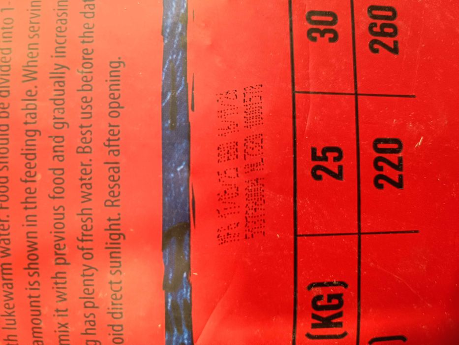 Sucha karma dla psów