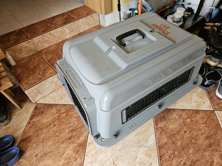Transporter dla psa