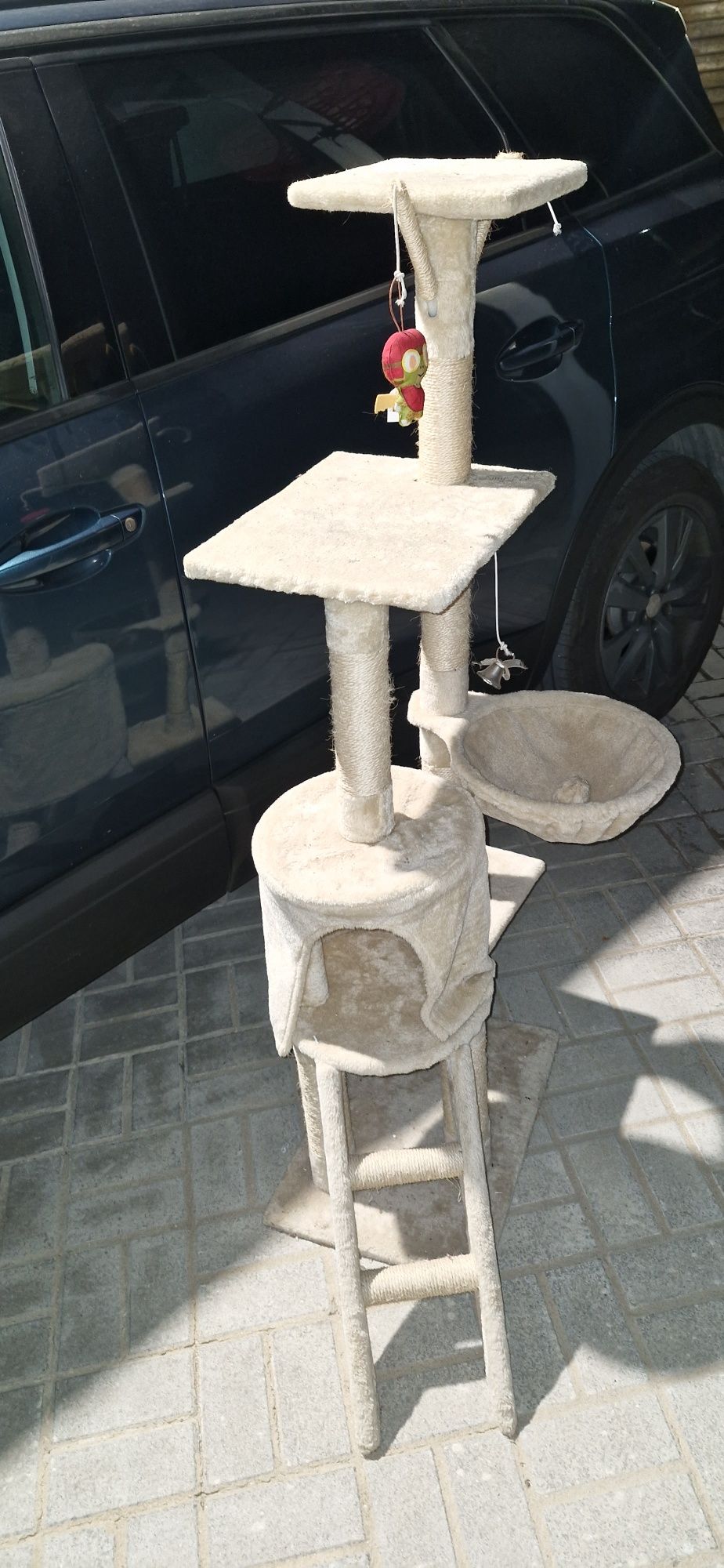 Suporte para gatos em bom estado