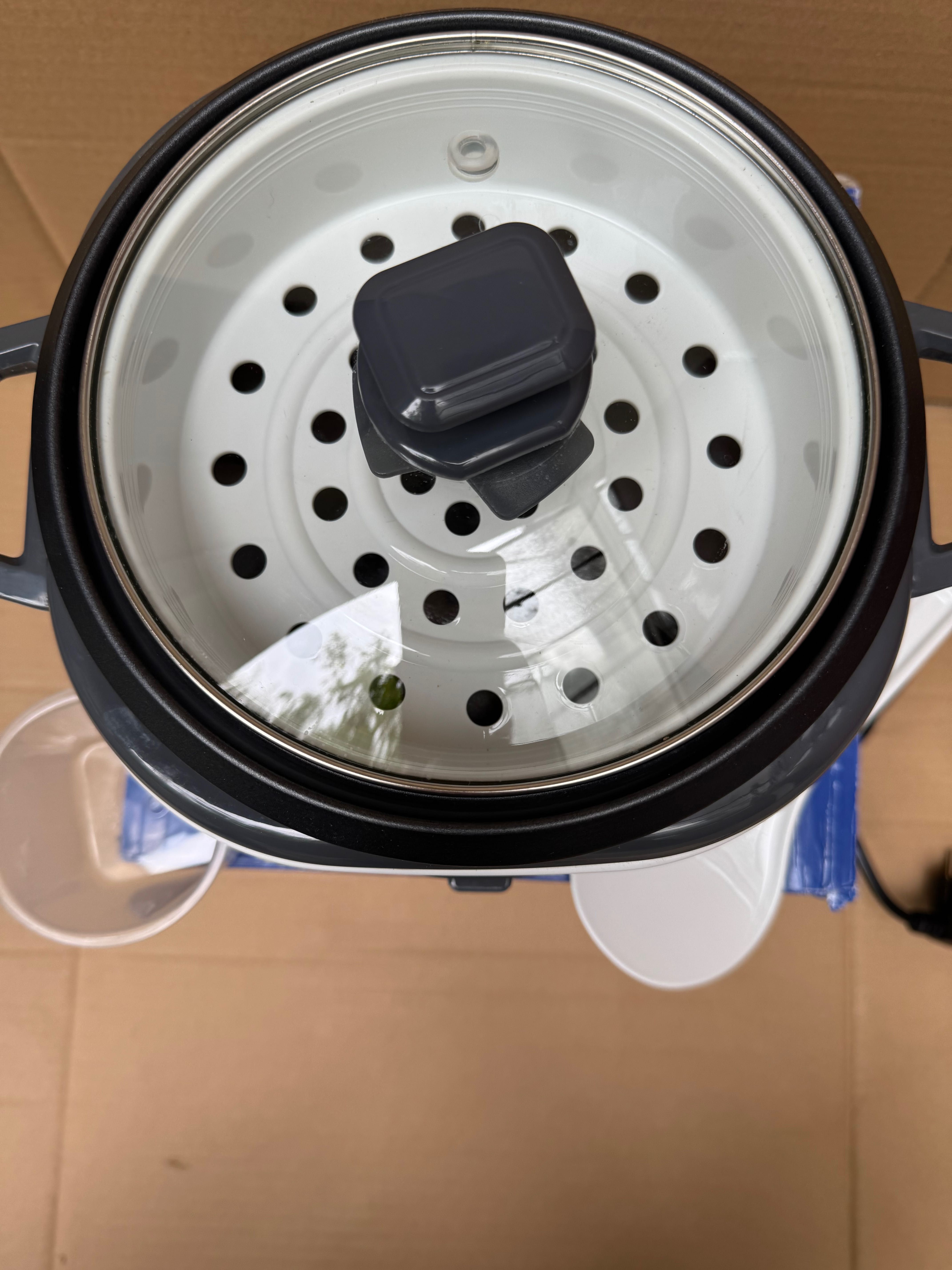 Garnek do gotowania ryżu Russell Hobbs 6 porcji