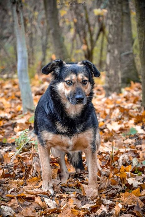 Kochana sunieczka zasługuje na swój Domek i Rodzinę!