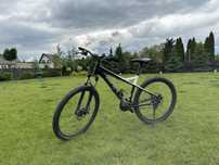rower Bulls Sharptail Street 2