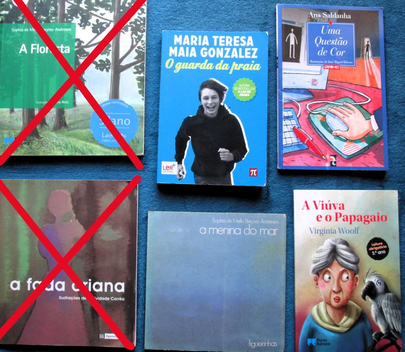 Metas curriculares; Plano Nacional de Leitura
