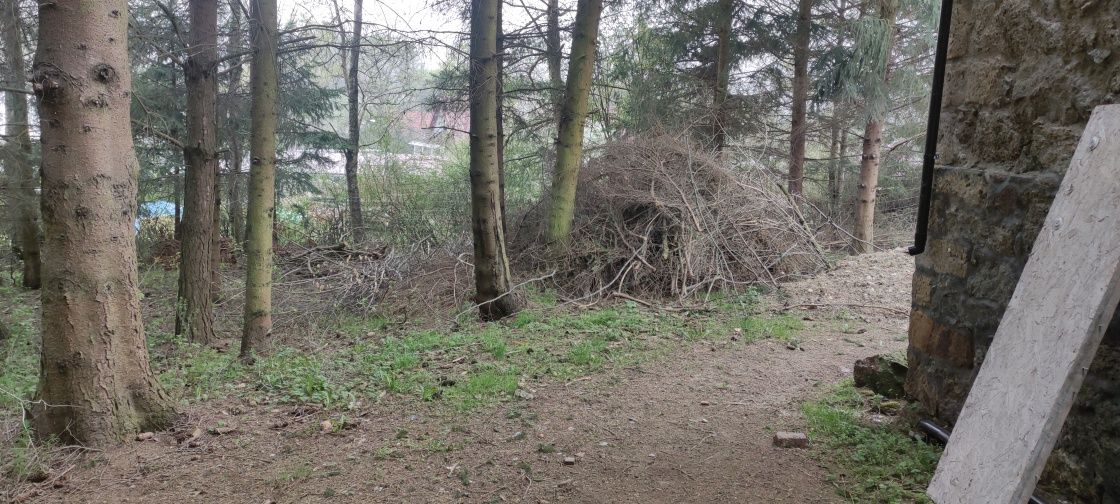 Gałęzie drewno opal gałęziówka
