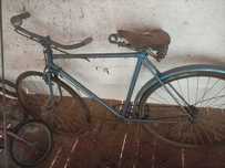 Bicicleta Pasteleira