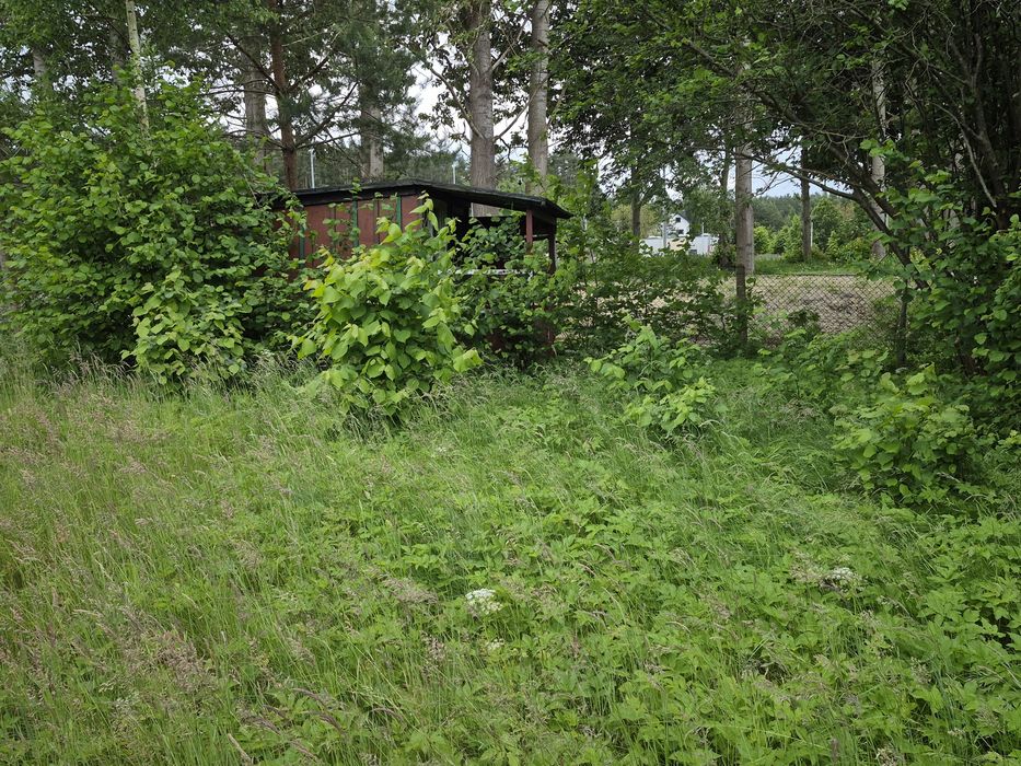 Działka Jodełka Gościcino na sprzedaż