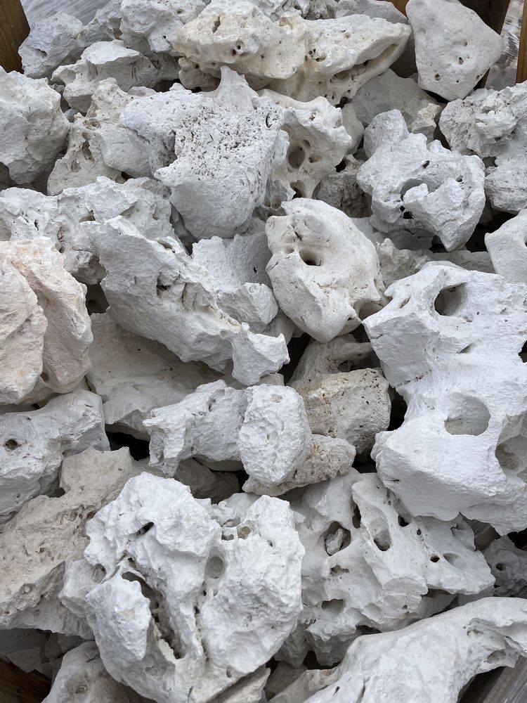 Wapień Filipiński Biały Kamień Skała Wapienna do Akwarium Filipino