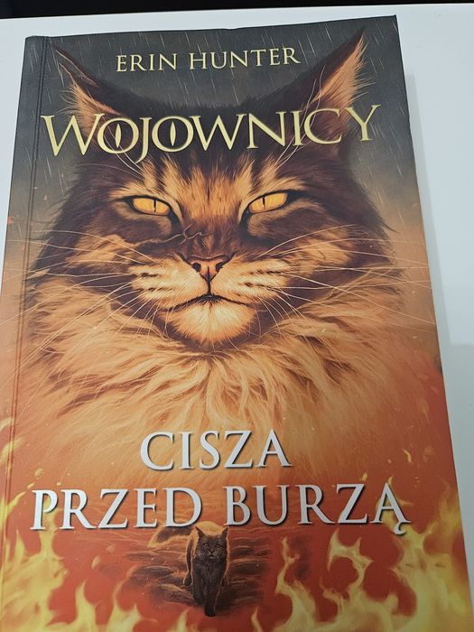 Wojownicy Cisza Przed Burzą