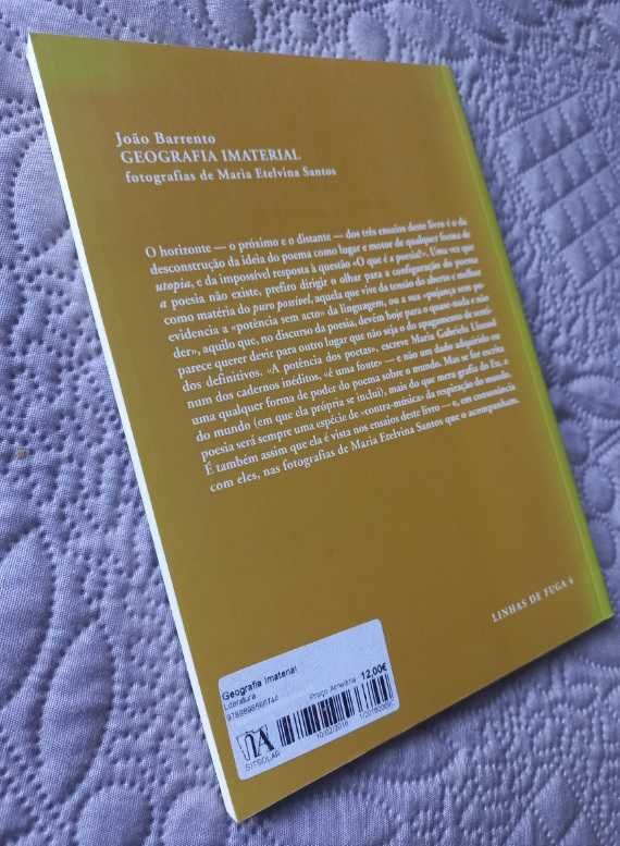 Geografia Imaterial; 3 Ensaios sobre a Poesia - João Barrento