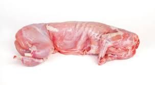 Мʼясо кроля молодняк