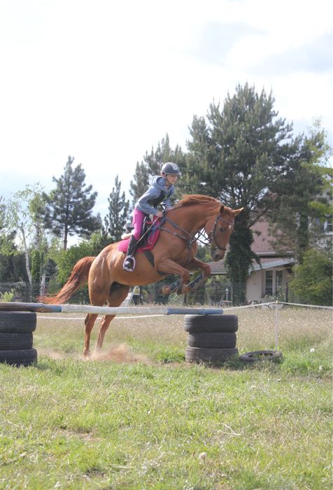 Sprzedam klacz folblut