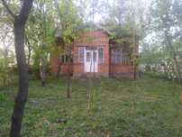 Здам в оренду будинок