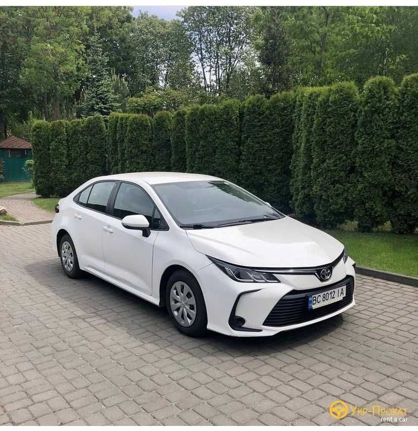 Прокат,оренда авто, подобово, Тернопіль Укр-прокат Toyota Corolla 2019