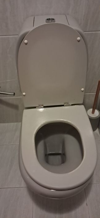 Sanita + Bidé cinzenta