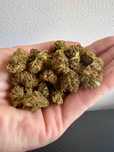 10 Gram Strawberry haze CBD Jakość Premium