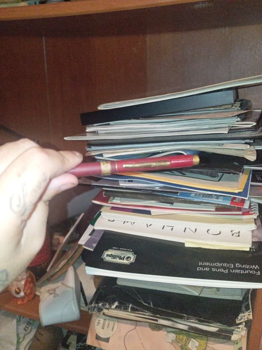 Lipizeira com marca antiga