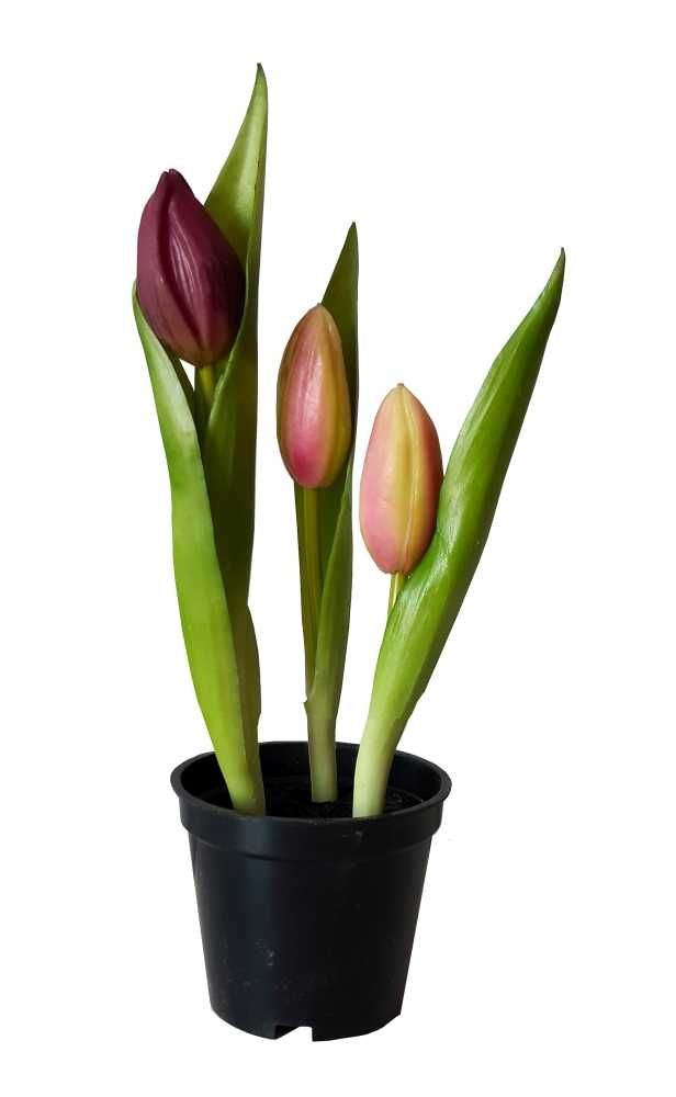 Tulipan w doniczce sztuczne tulipany silikonowe w osłonce kolory