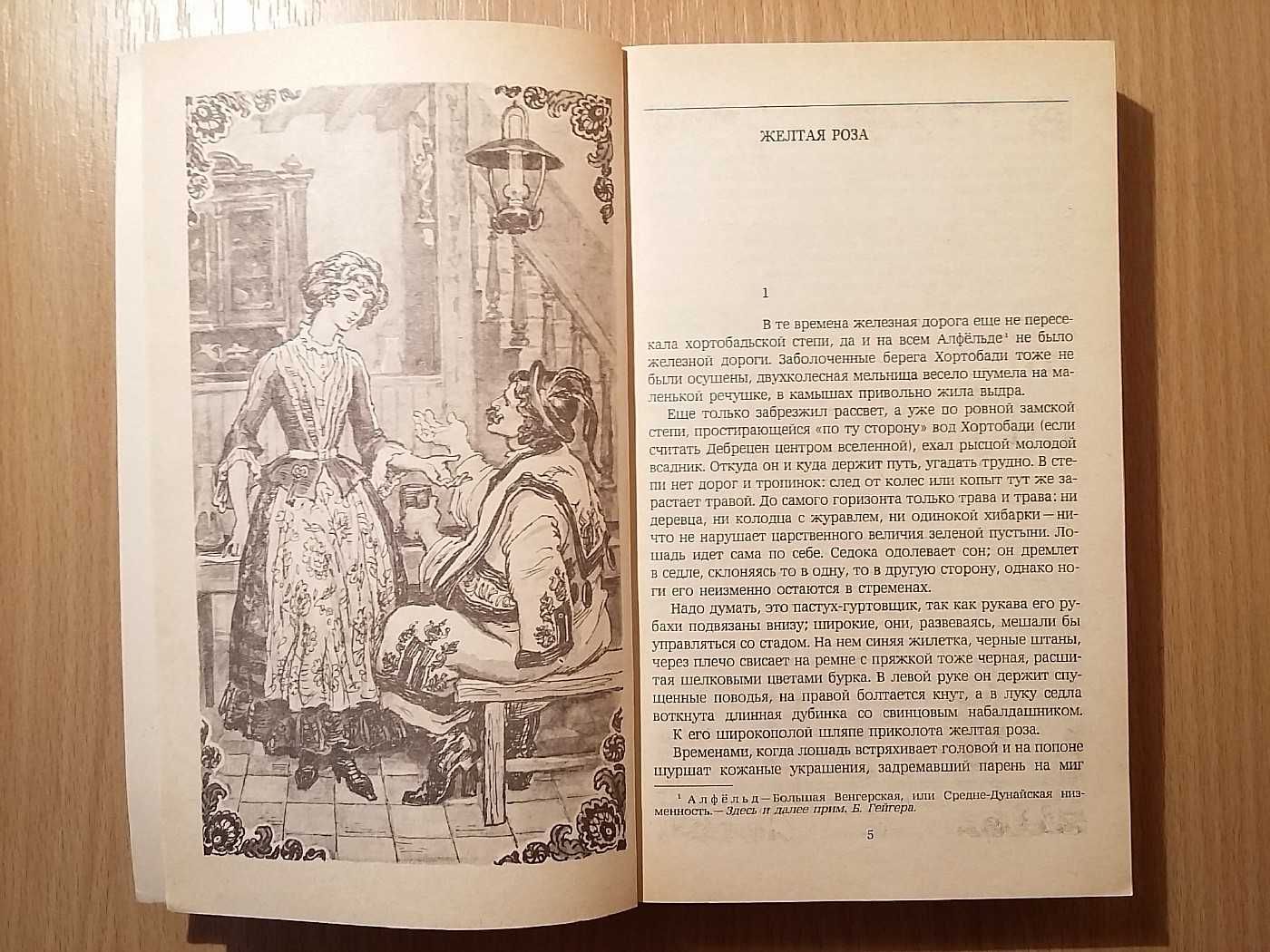 Книга - Призрак в Лубло (1988г)