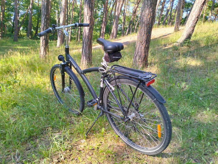 Rower BWIN Original 520