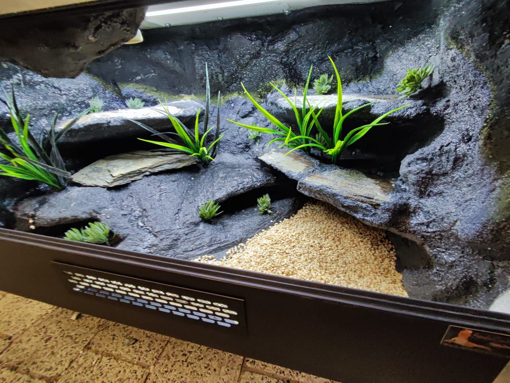 Terrarium gekon lamparci jaszczurka PETMARKET