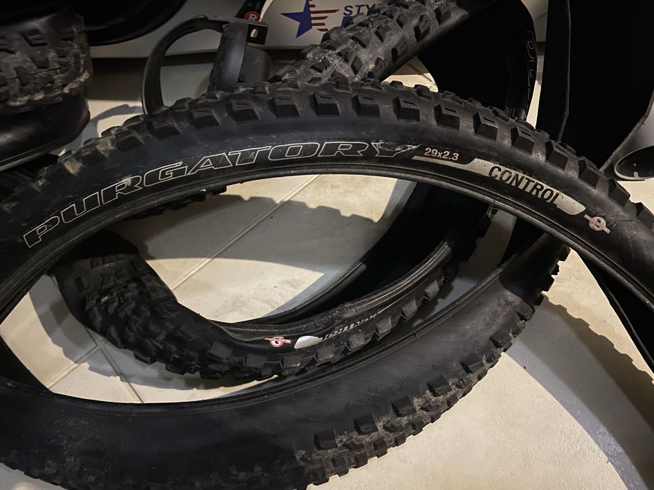 Specialized purgatory control 29 2.3