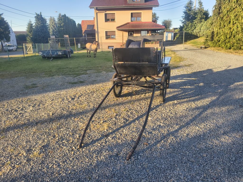 Bryczka, maratonka
