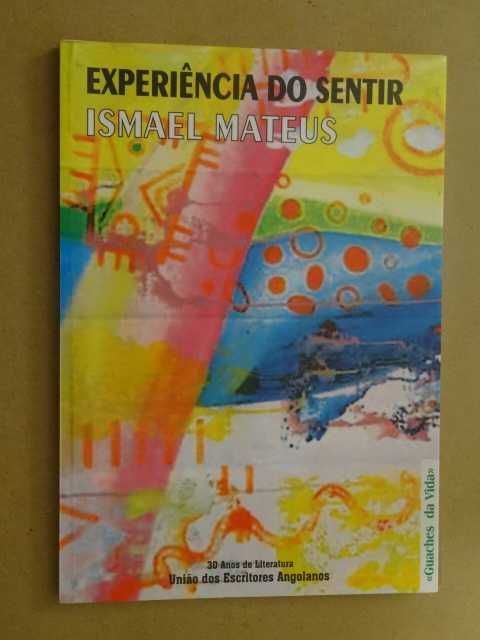 Experiência do Sentir de Ismael Mateus