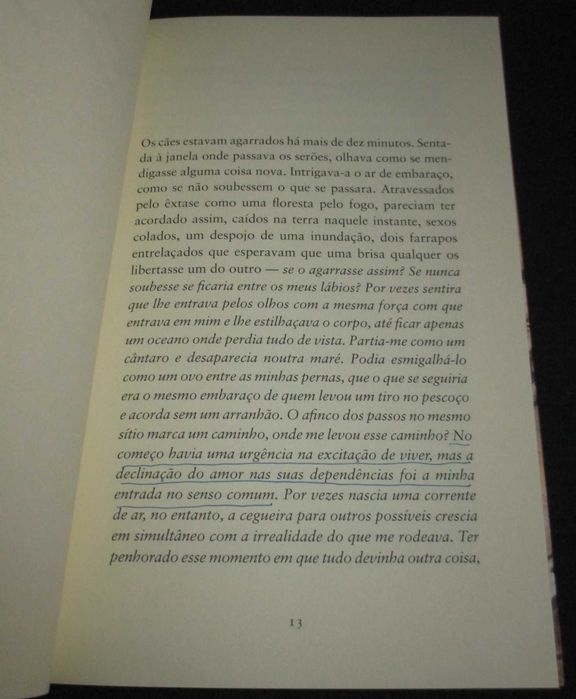Livro Sara Ricardo Norte