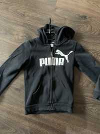 Спортивна Кофта Puma