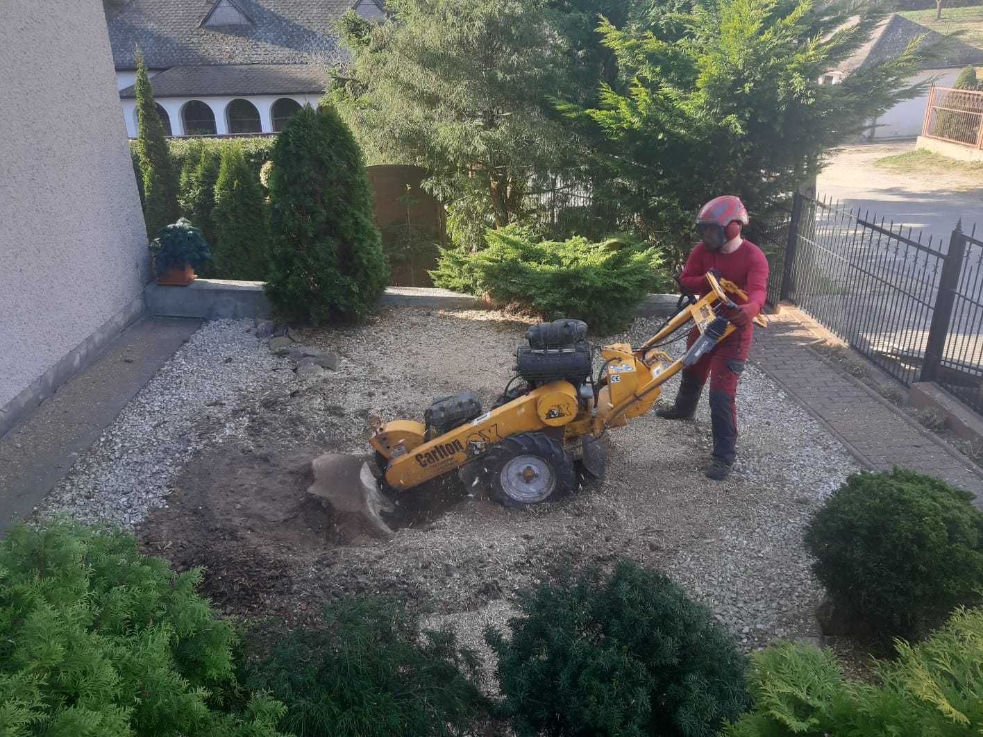 Usuwanie pniaków czyszczenie działek, frezowanie pni Starachowice