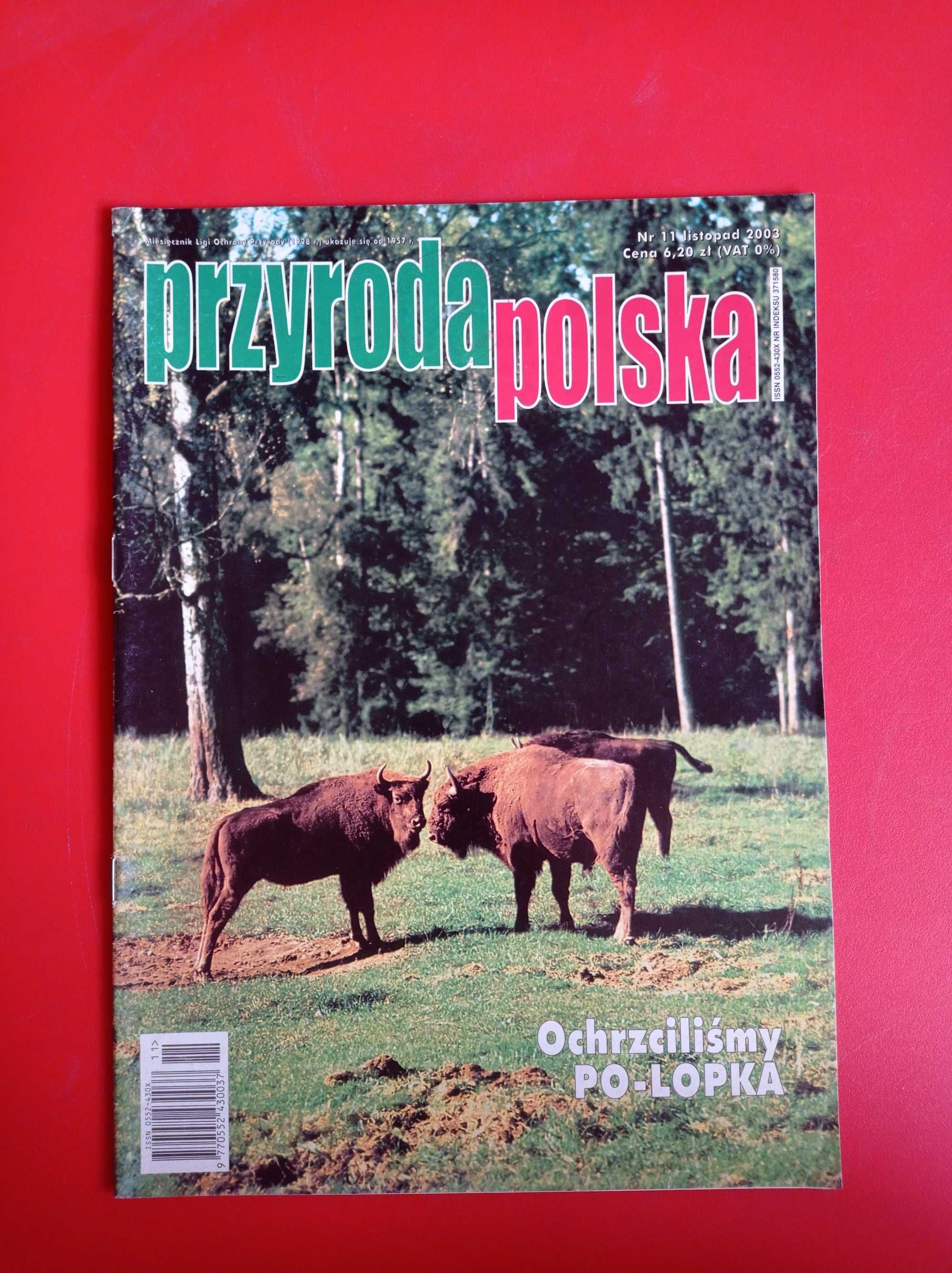 Przyroda polska nr 11/2003, listopad 2003