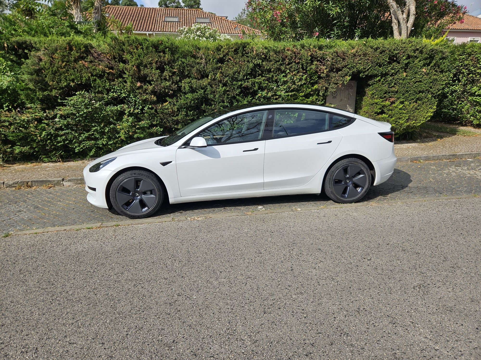 Tesla 3 standard  range plus
