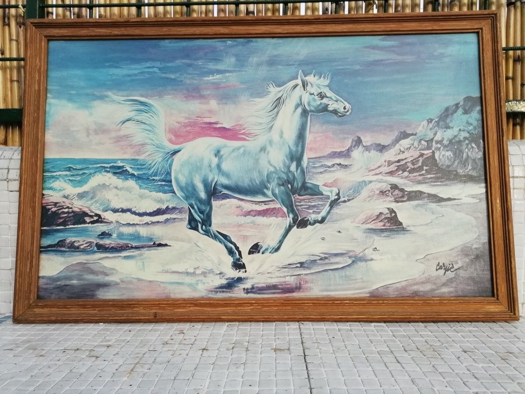 Quadro de Cavalo Branco Lindo