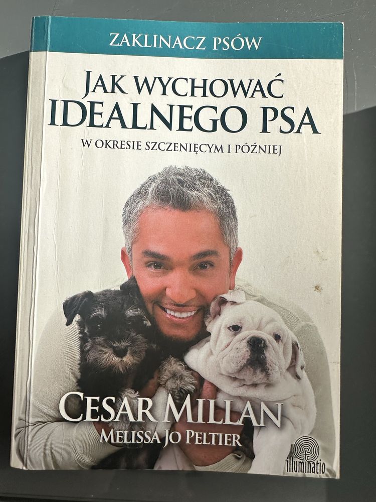 Jak wychować idealnego psa w okresie szczenięcym i później. C. Millan