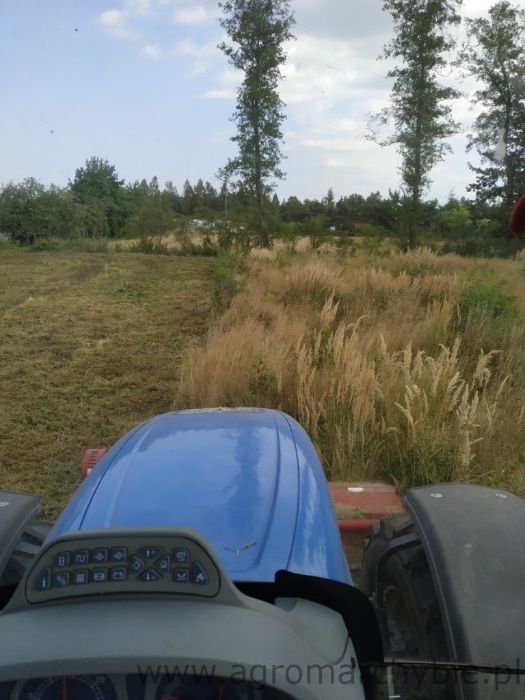 Wycinka drzew samosiejek karczowanie usługi rębak rębakiem zrębkowanie