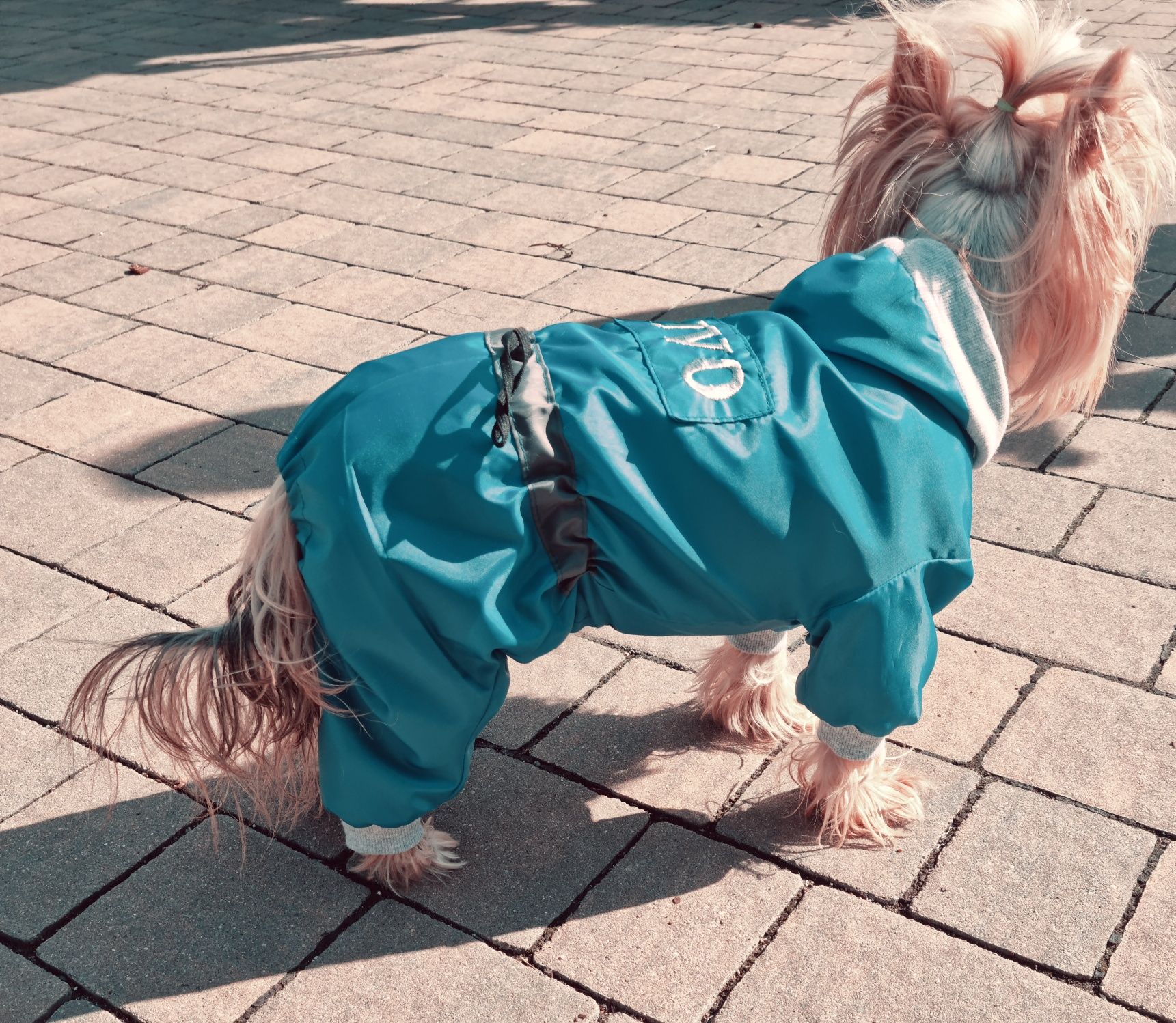 kombinezon nieprzemakalny,jesienny dla york,shihtzu ,jamnik na miare