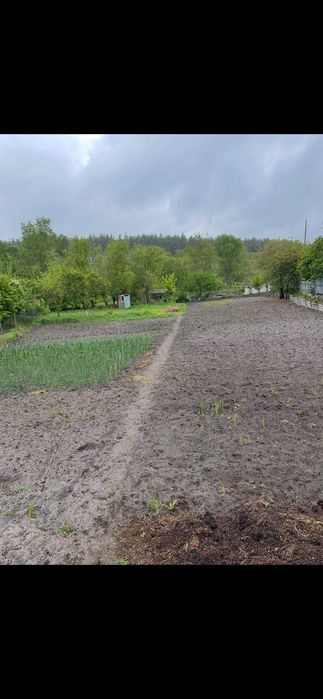 Продаж земельної ділянки біля лісу