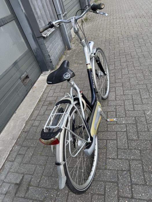 Gazelle Orange Special Design