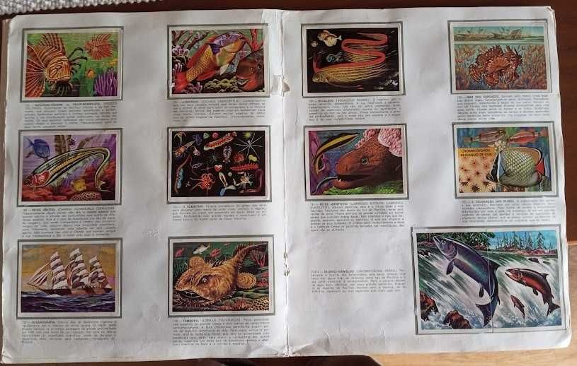 Caderneta  Panorama Zoológico