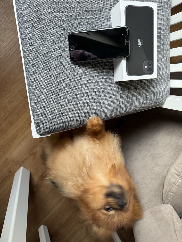 IPhone 8, stan bardzo dobry, 256GB