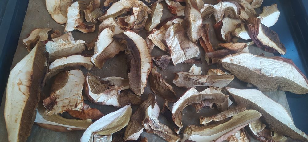 Borowik szlachetny suszony Podhale