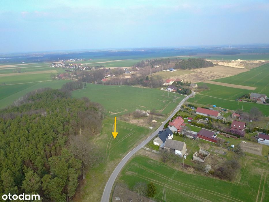 Chojnów, Okmiany, Okmiany