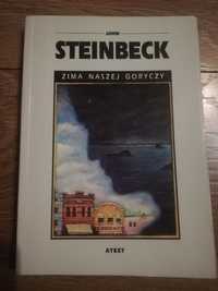 Zima naszej goryczy - Steinbeck, stan idealny