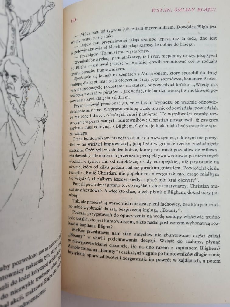 Buntownicy mórz południowych - Lucjan Wolanowski