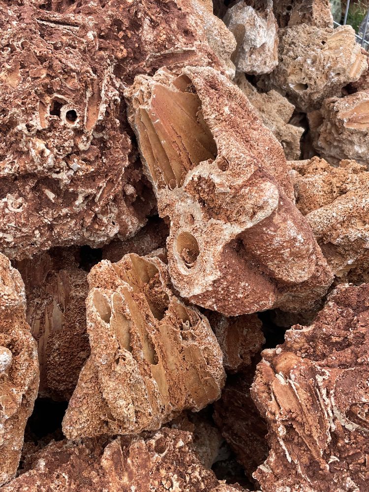 Kamień Naturalny Skała do Akwarium Sponge Czerwony Wapień Malawi Grys