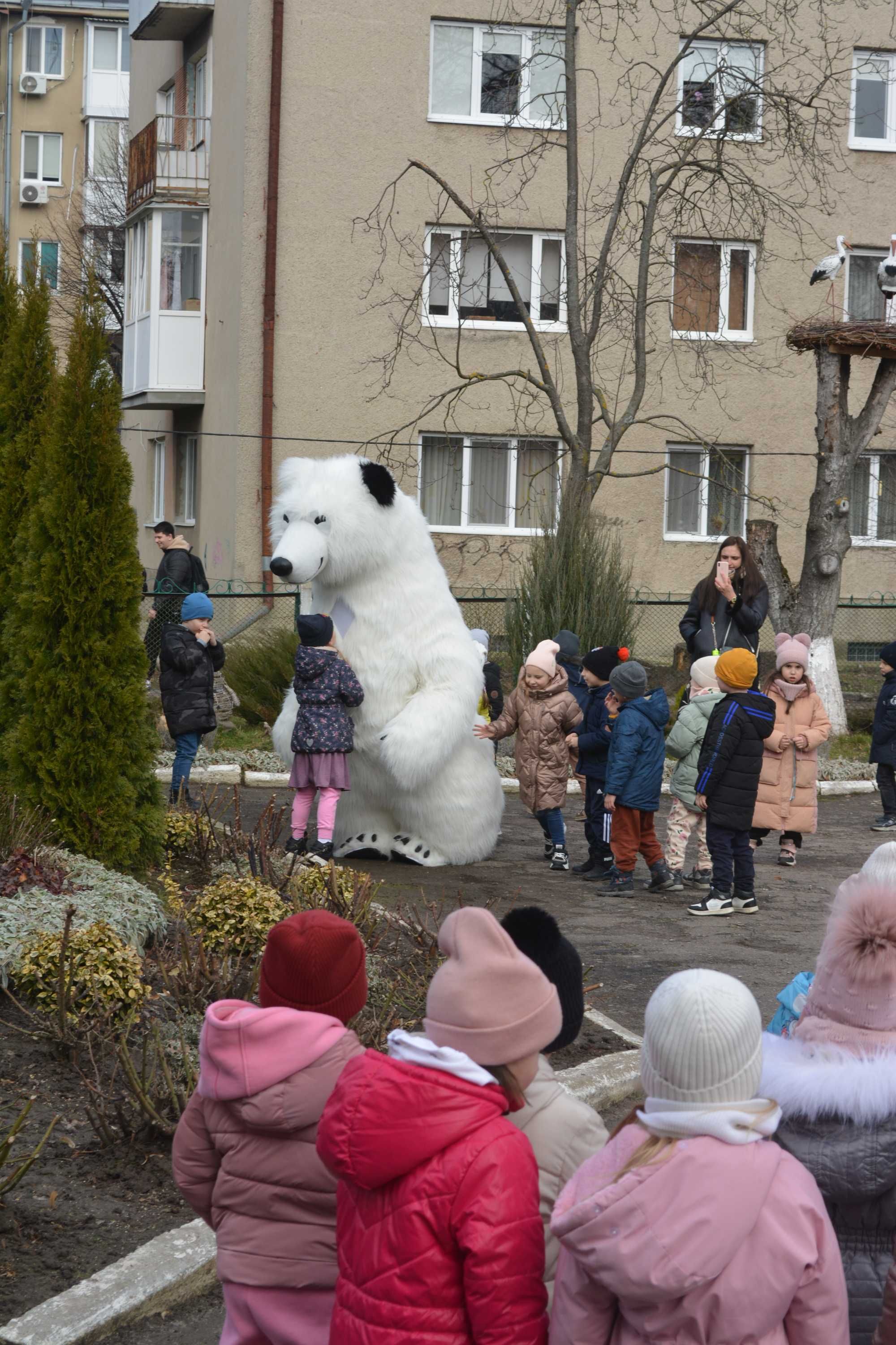 Білий ведмедик у Луцьку та Ковелі, ведмідь Луцьк, привітання Луцьк